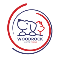 Woodrock Animal Rescue